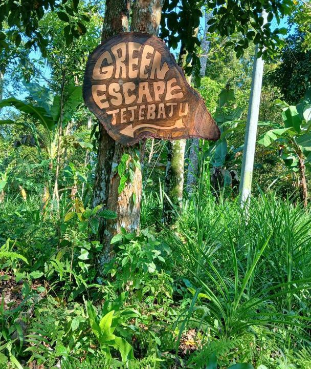 Photo of Outdoor in Tetebatu