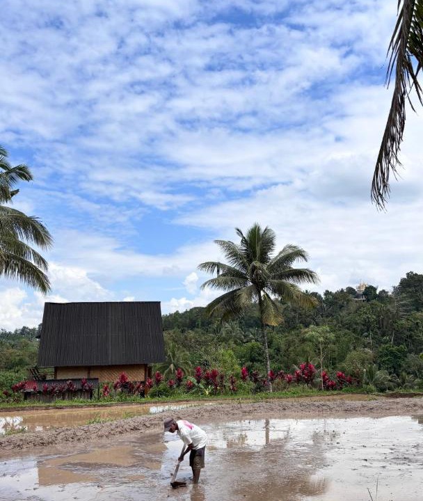 Photo of Others in Tetebatu