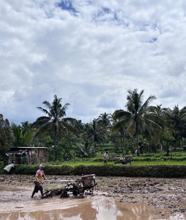Photo of Others in Tetebatu
