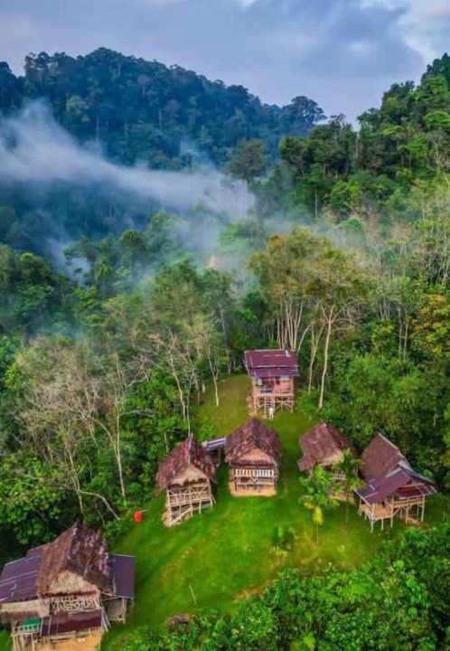Photo of Others in Bukit Lawang