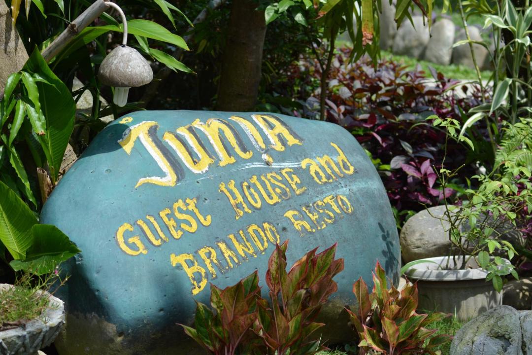 Photo of Others in Bukit Lawang
