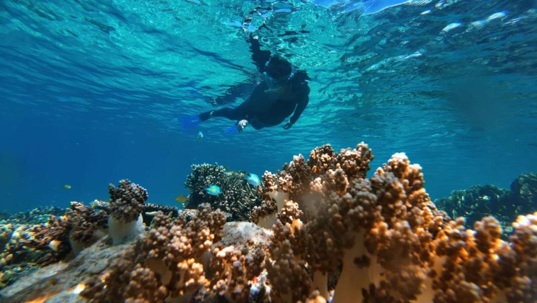 Photo of Others in Pulau Fam