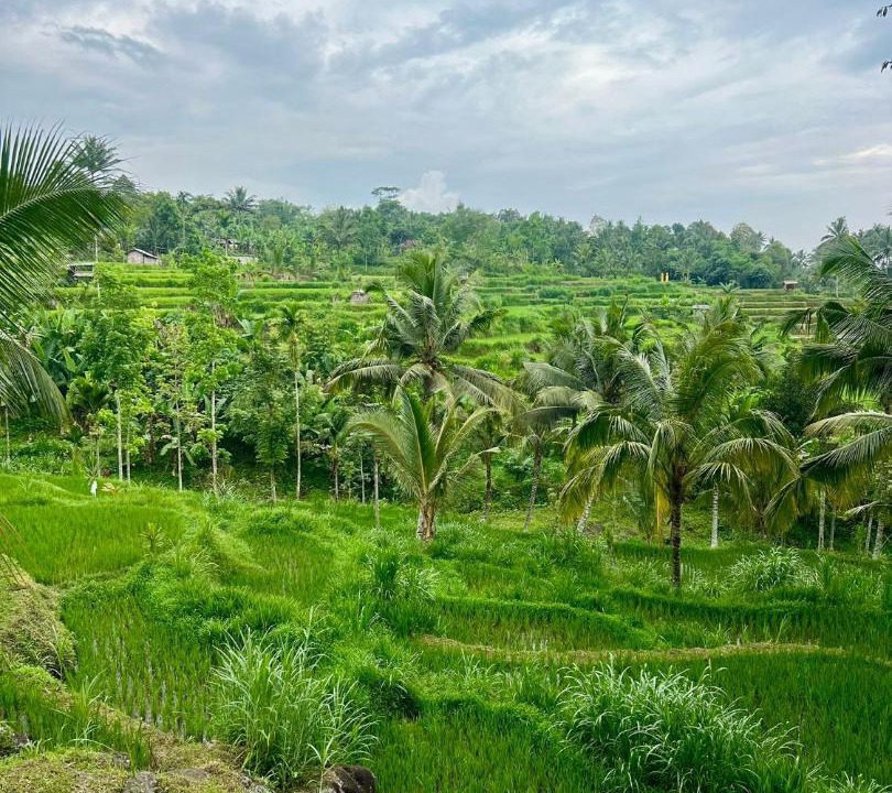 Photo of Others in Tetebatu