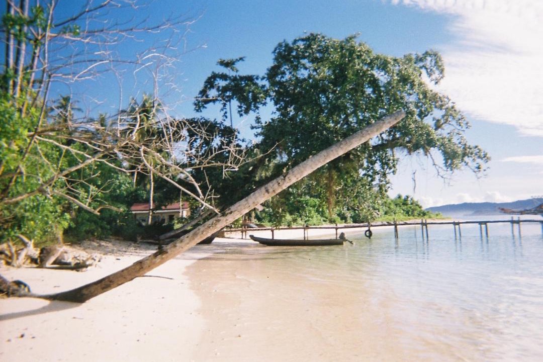Photo of Others in Sumatra