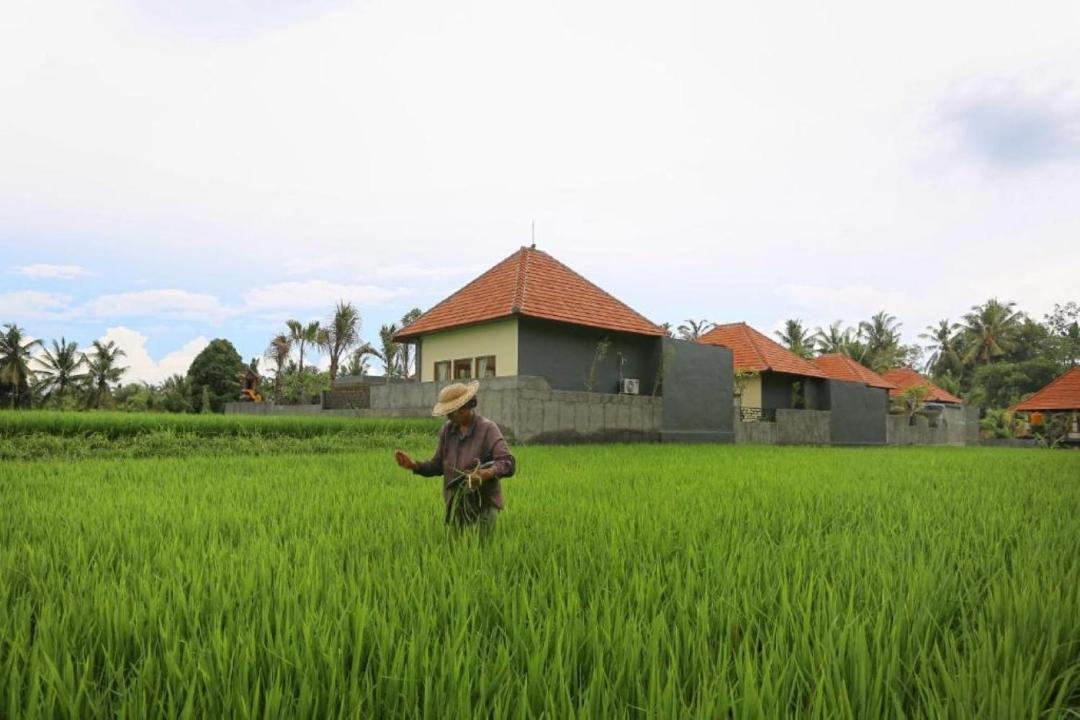Photo of Others in Lodtunduh