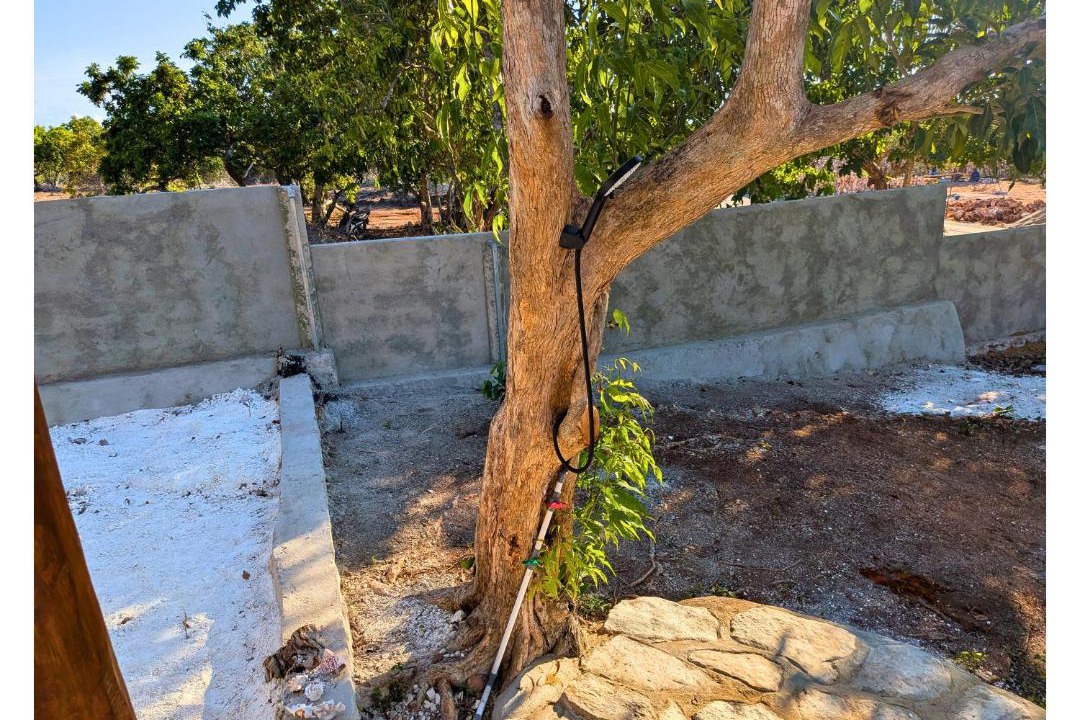 Photo of Others in Rote Island