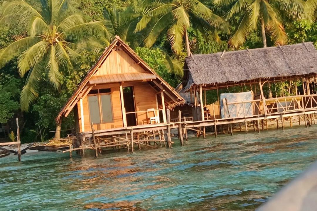 Photo of Others in Pianemo Islands