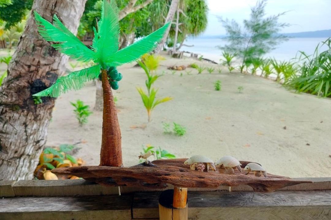 Photo of Others in Mansuar Island