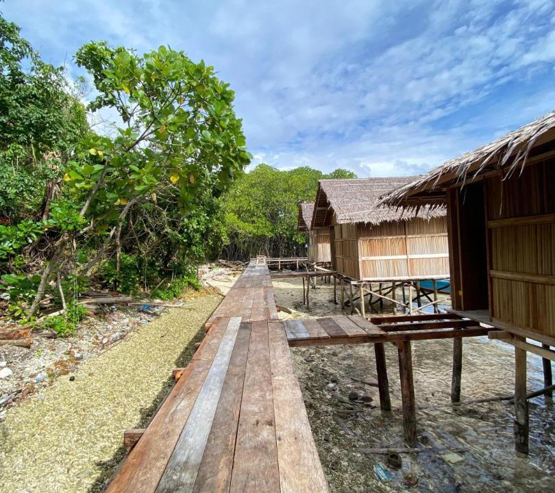 Photo of Others in Pianemo Islands