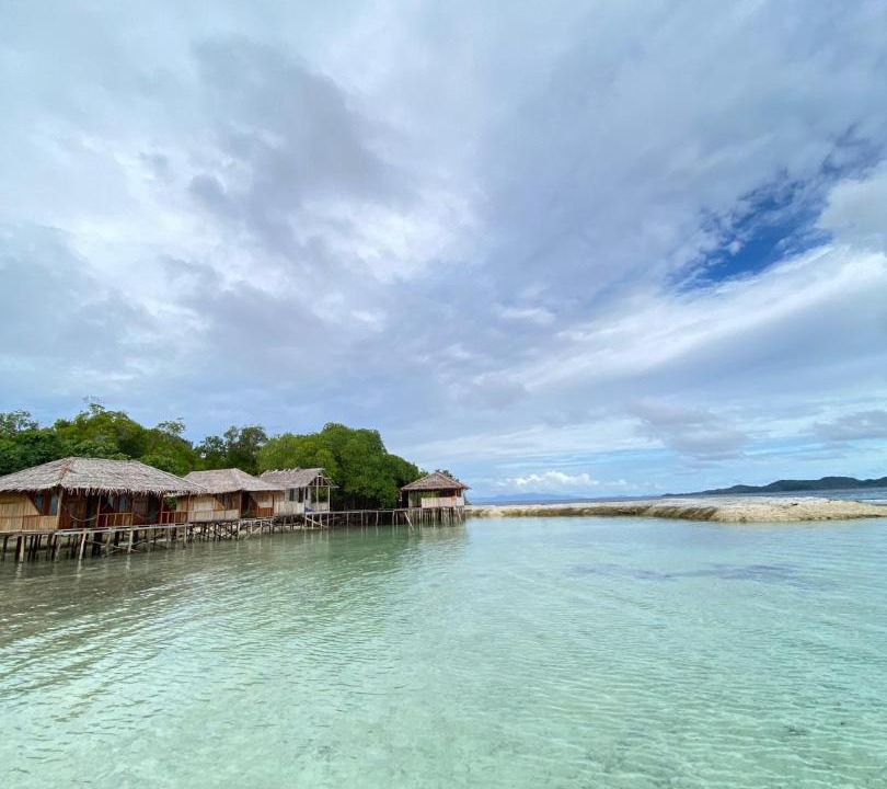Photo of Others in Pianemo Islands