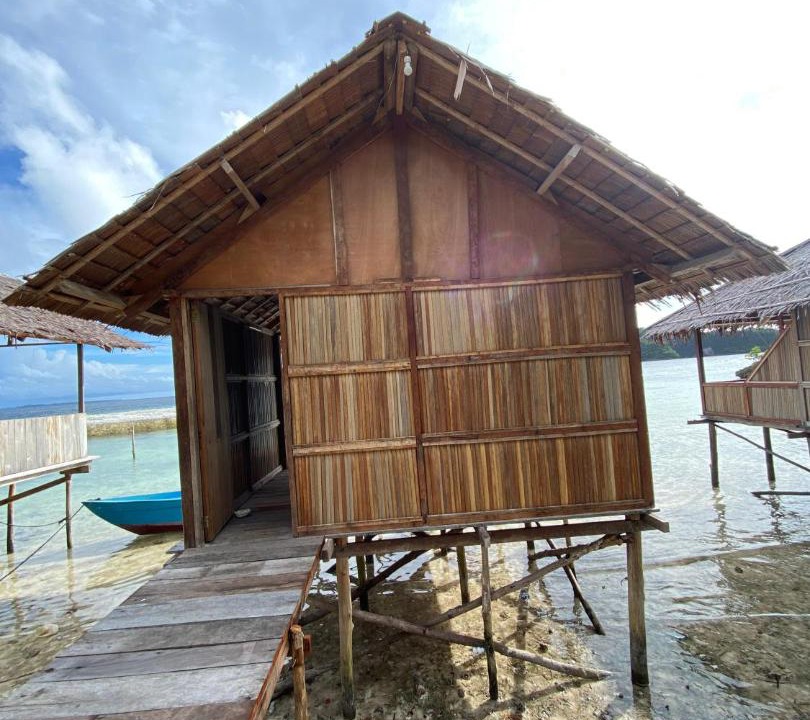 Photo of Others in Pianemo Islands