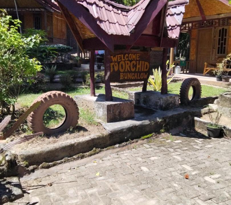 Photo of Others in Bohorok