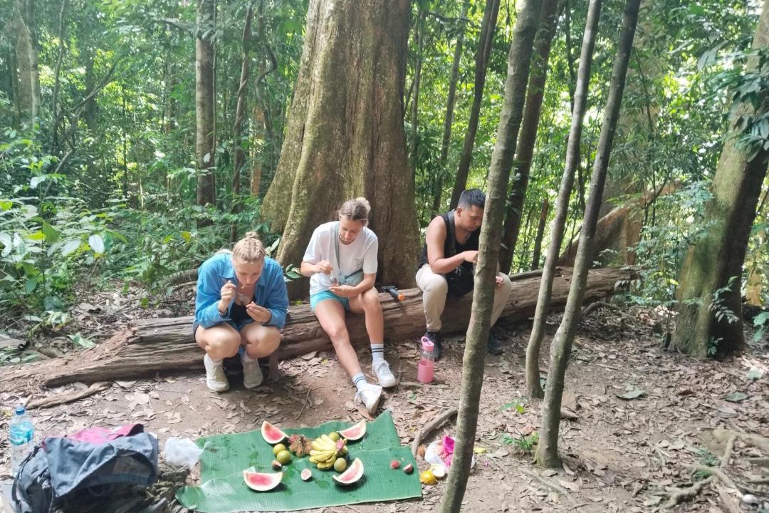 Photo of Others in Bukit Lawang