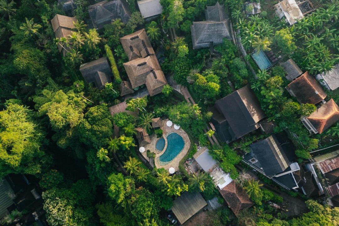 Photo of Others in Ubud