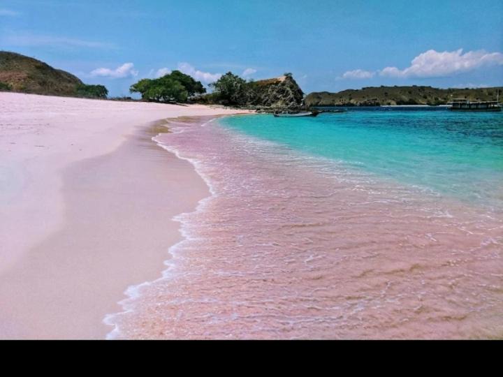 Photo of Others in Komodo
