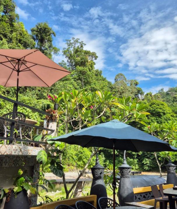 Photo of Others in Bukit Lawang