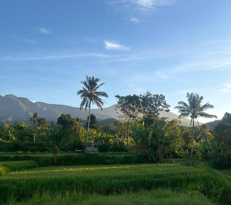 Photo of Others in Kecamatan Pringgasela