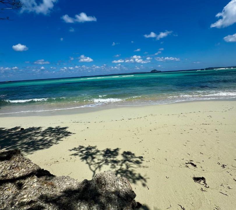 Photo of Others in Rote Island
