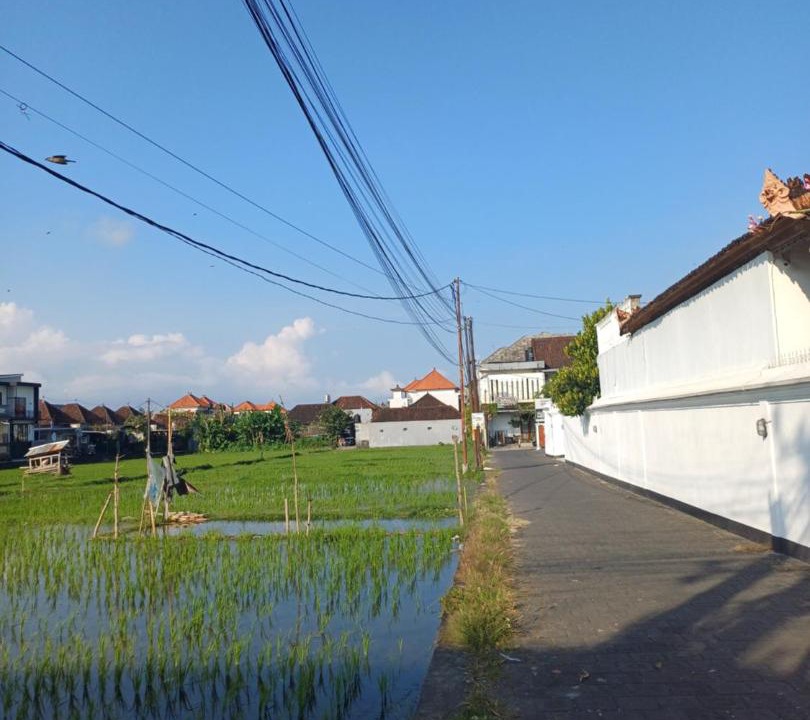Photo of Others in Batubulan