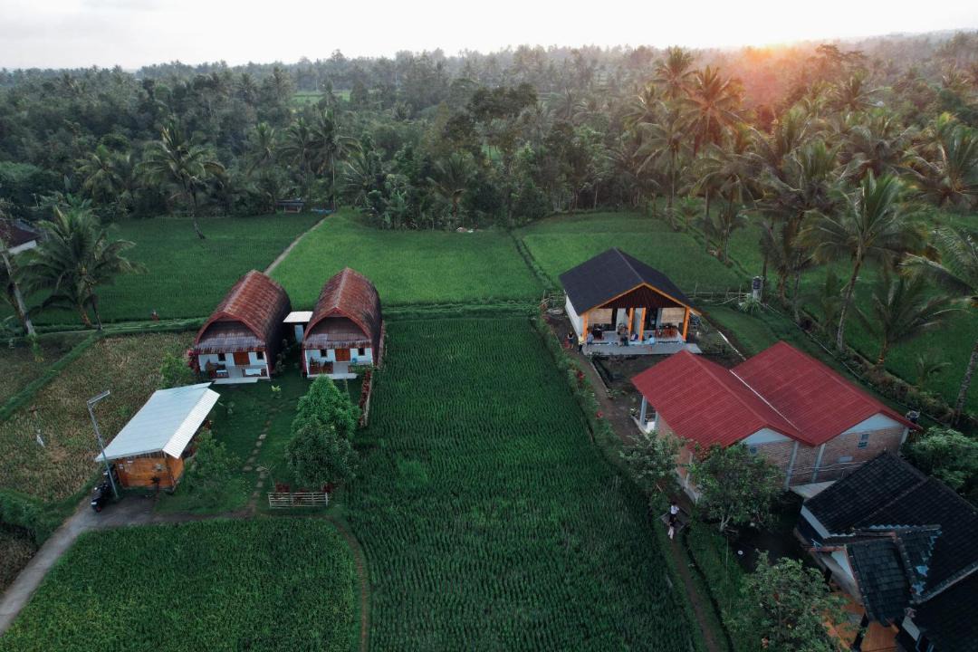 Photo of Others in Tetebatu