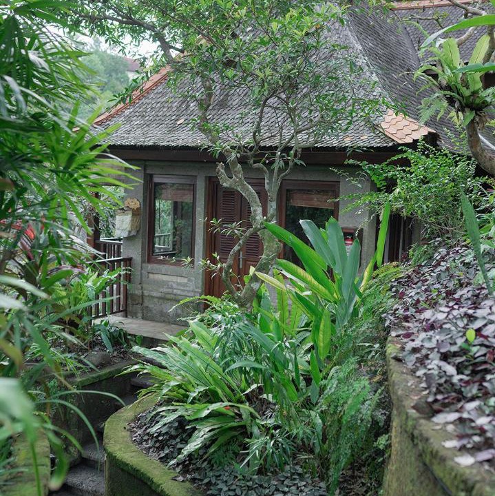 Photo of Others in Ubud
