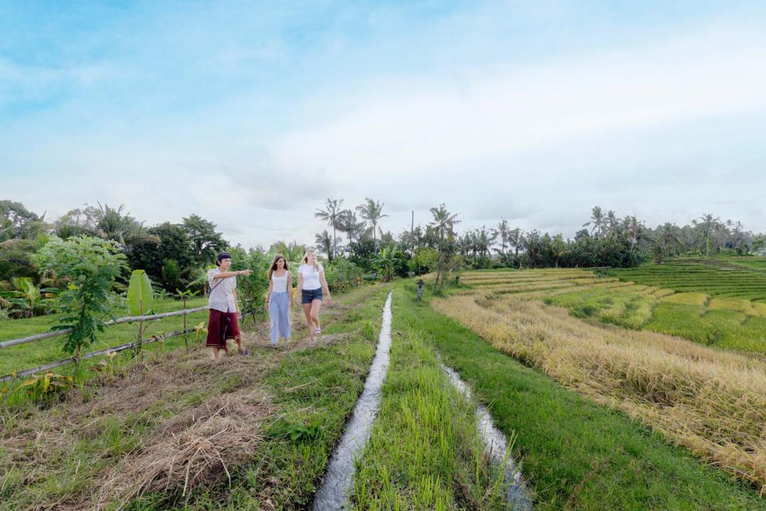 Photo of Others in East Selemadeg