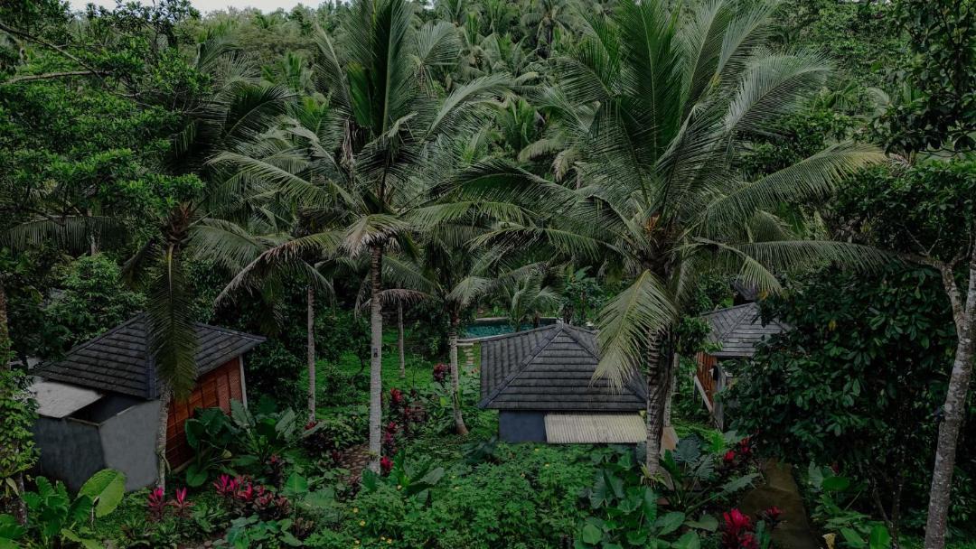 Photo of Others in East Selemadeg