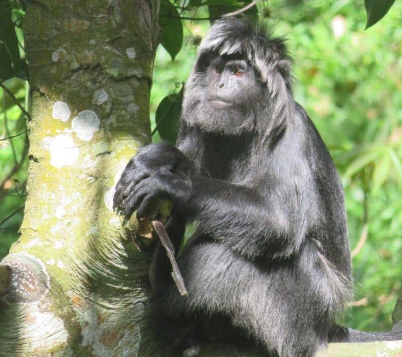 Photo of Others in Tetebatu
