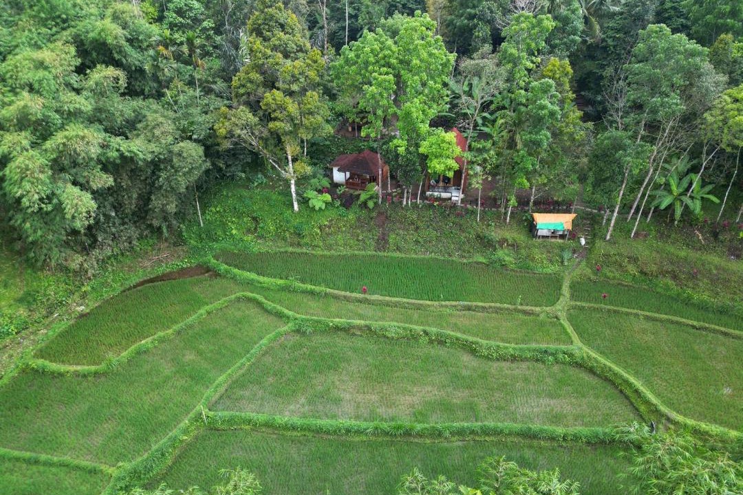 Photo of Others in Tetebatu
