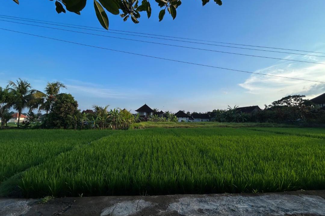 Photo of Others in Penestanan