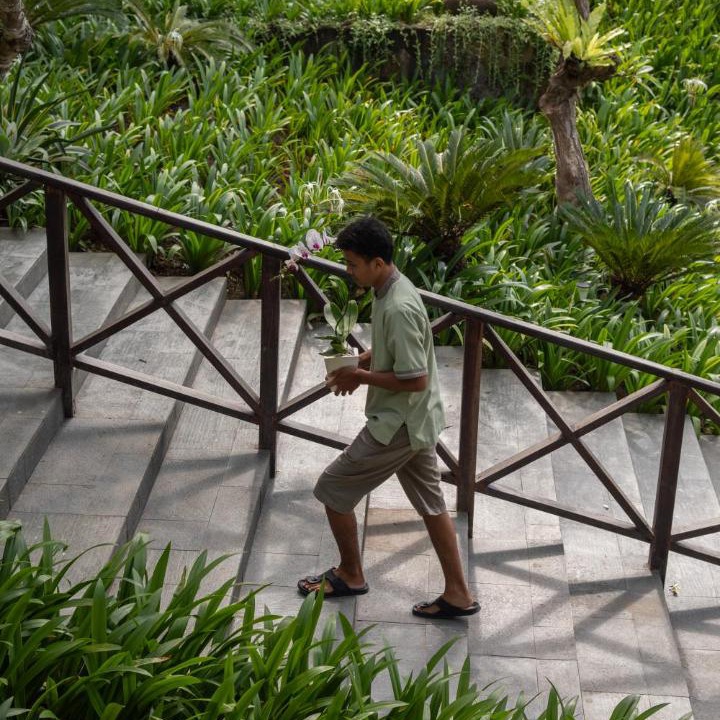 Photo of Others in Petitenget