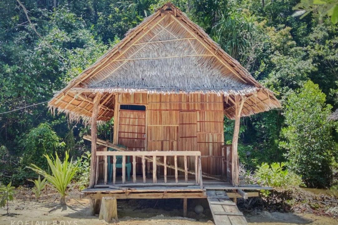 Photo of Others in Pianemo Islands