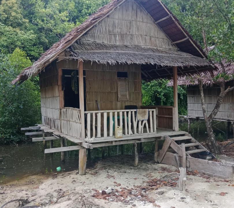 Photo of Others in Pianemo Islands