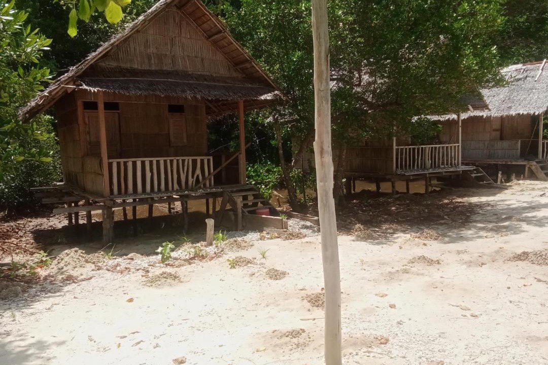 Photo of Others in Pianemo Islands