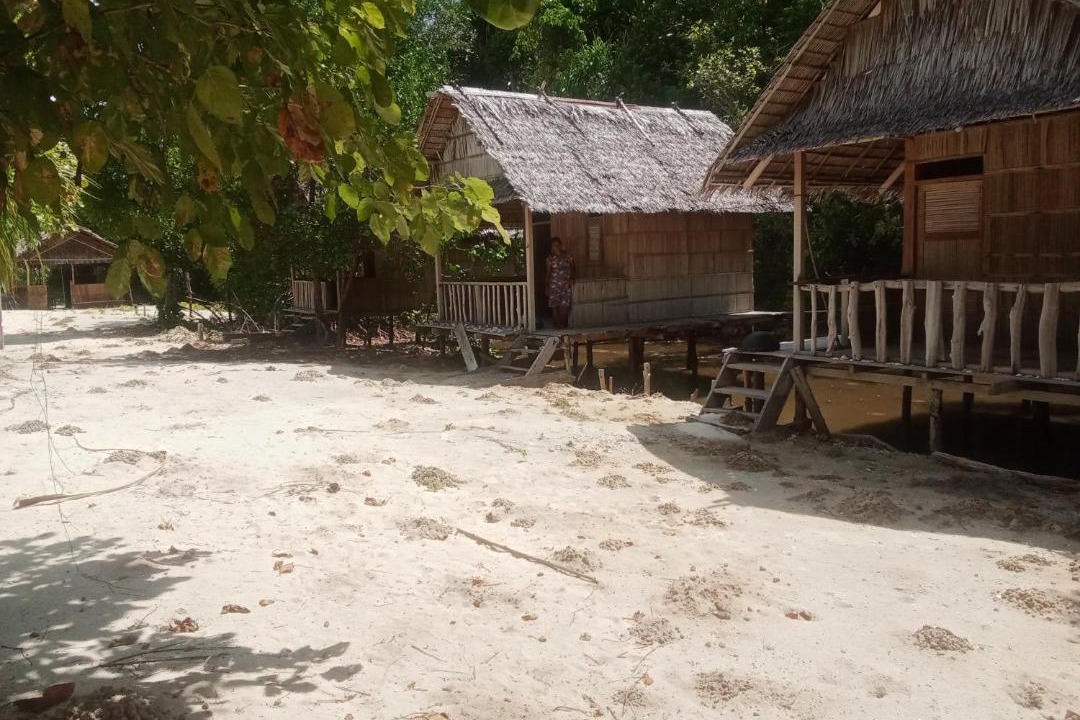 Photo of Others in Pianemo Islands