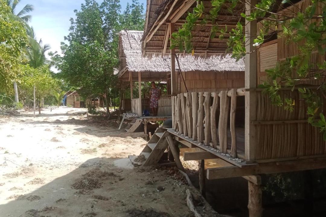 Photo of Others in Pianemo Islands