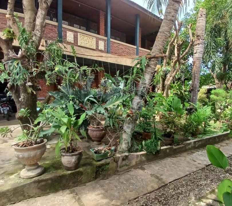 Photo of Others in Hu'u