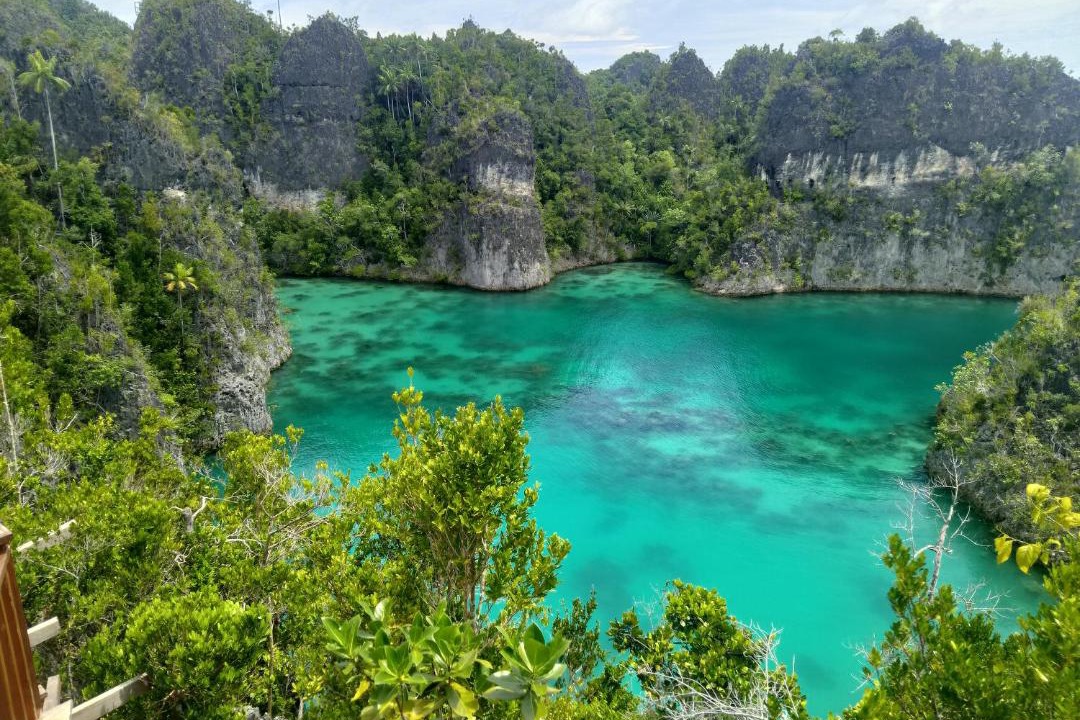 Photo of Others in Pianemo Islands