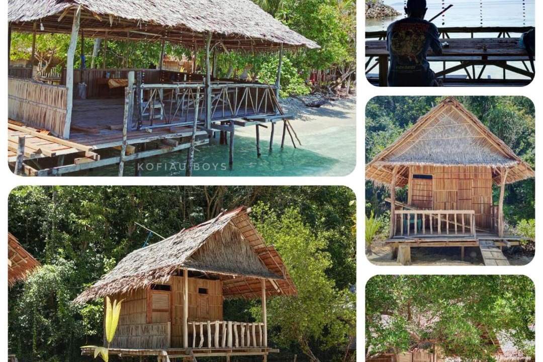 Photo of Others in Pianemo Islands