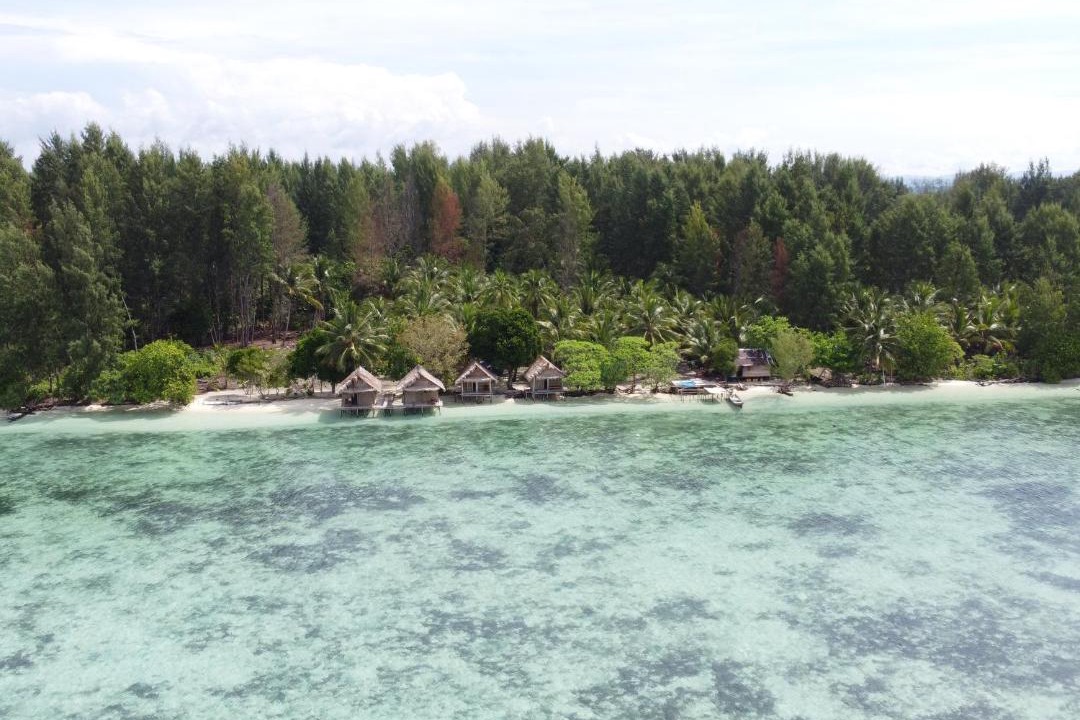 Photo of Others in Raja Ampat