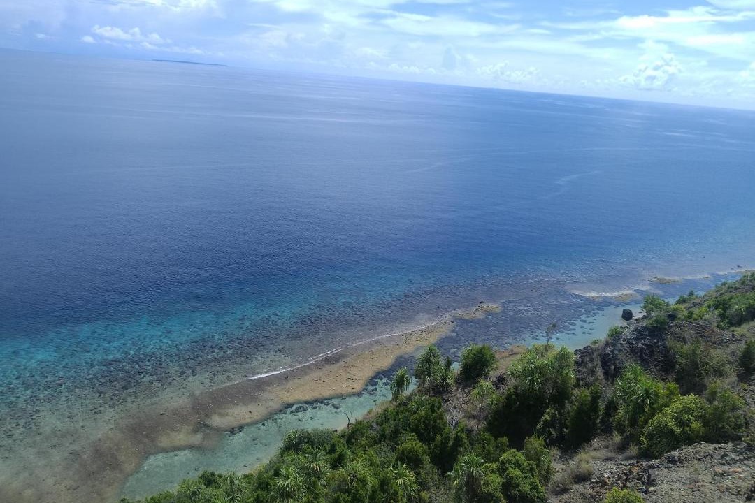 Photo of Others in Pianemo Islands