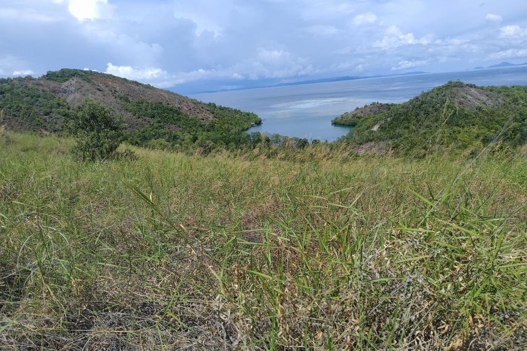 Photo of Others in Pianemo Islands