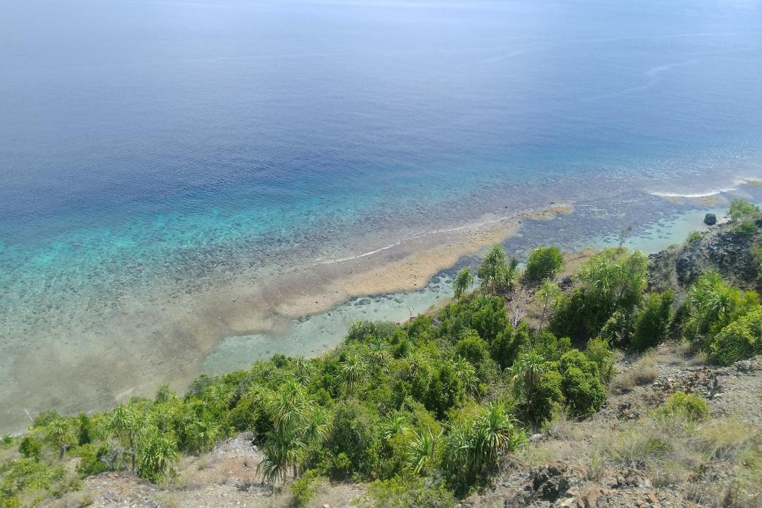 Photo of Others in Pianemo Islands