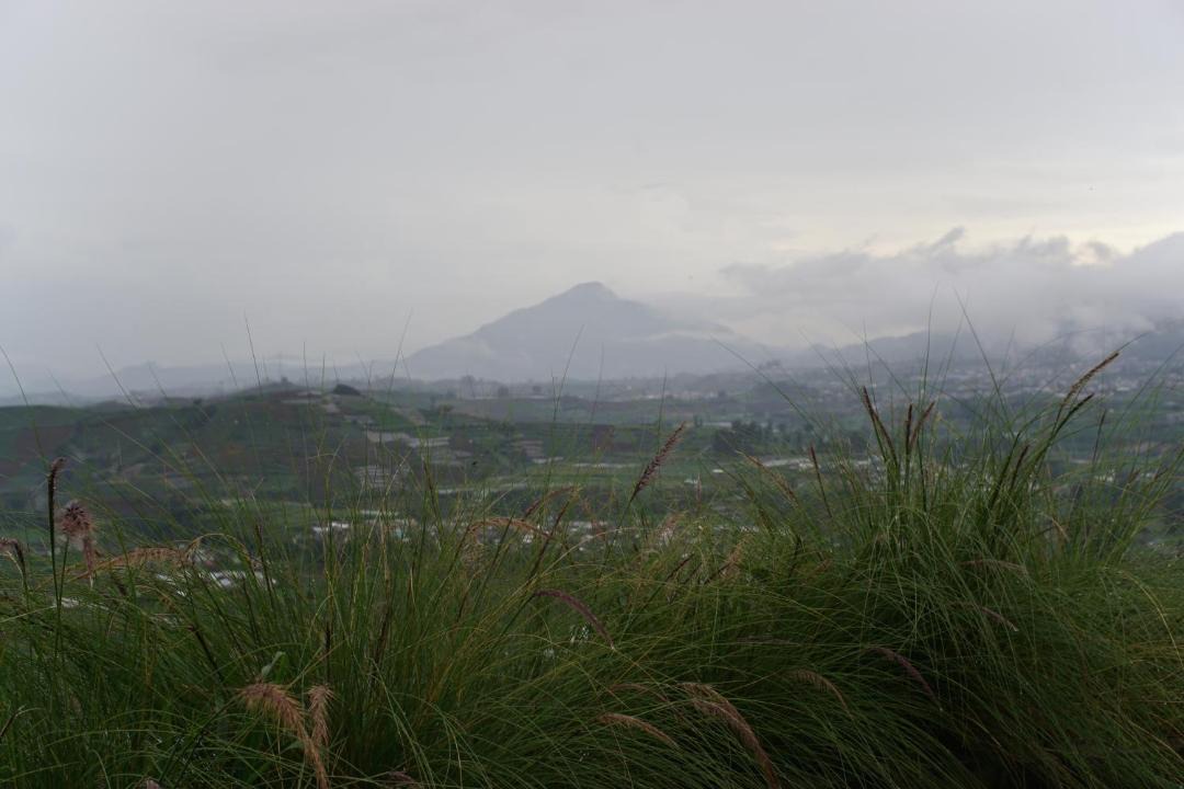 Photo of Others in Dieng Kulon