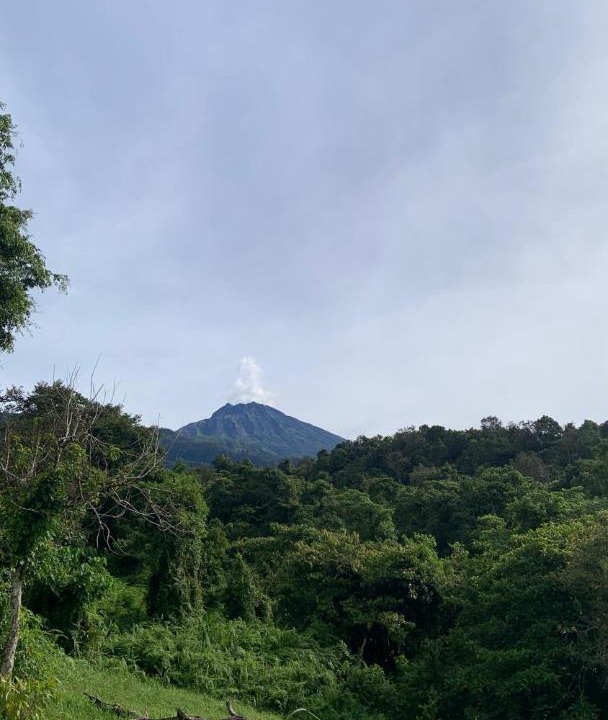 Photo of Others in Tetebatu
