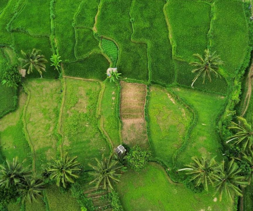 Photo of Others in Tetebatu