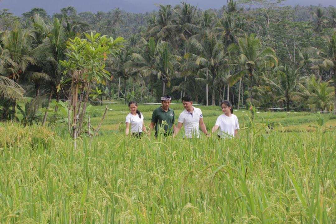 Photo of Others in Bebandem
