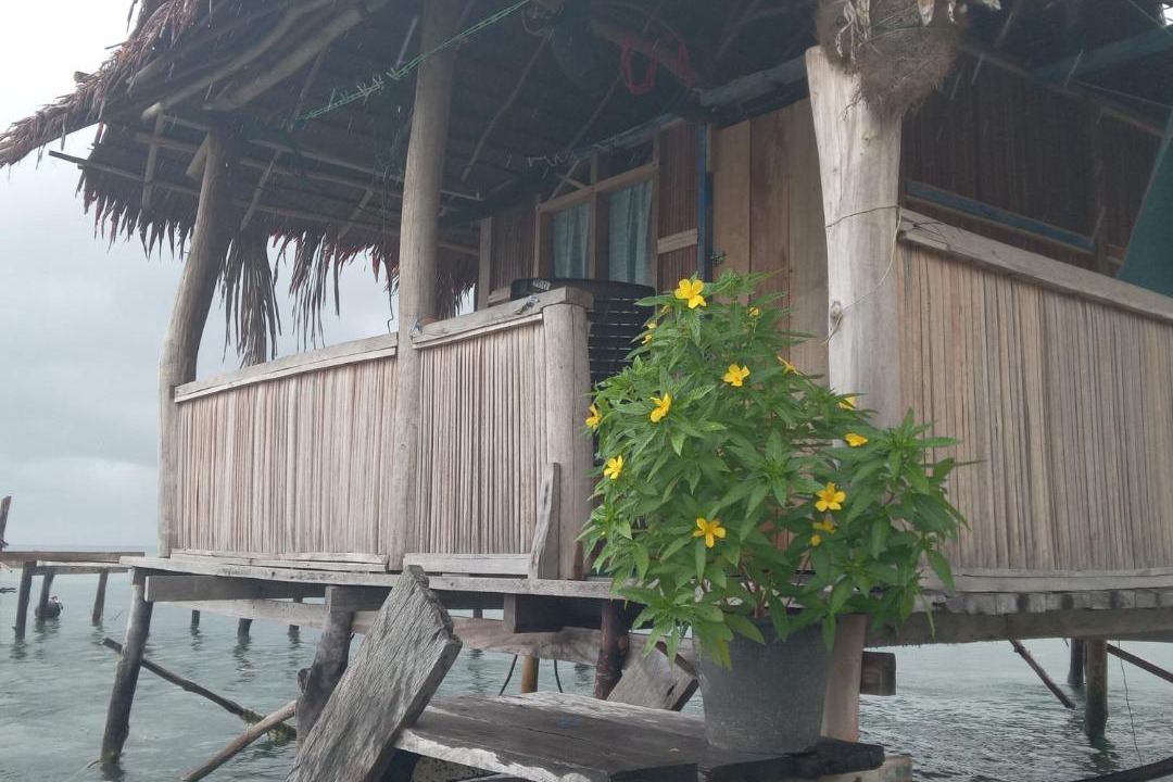 Photo of Others in Raja Ampat