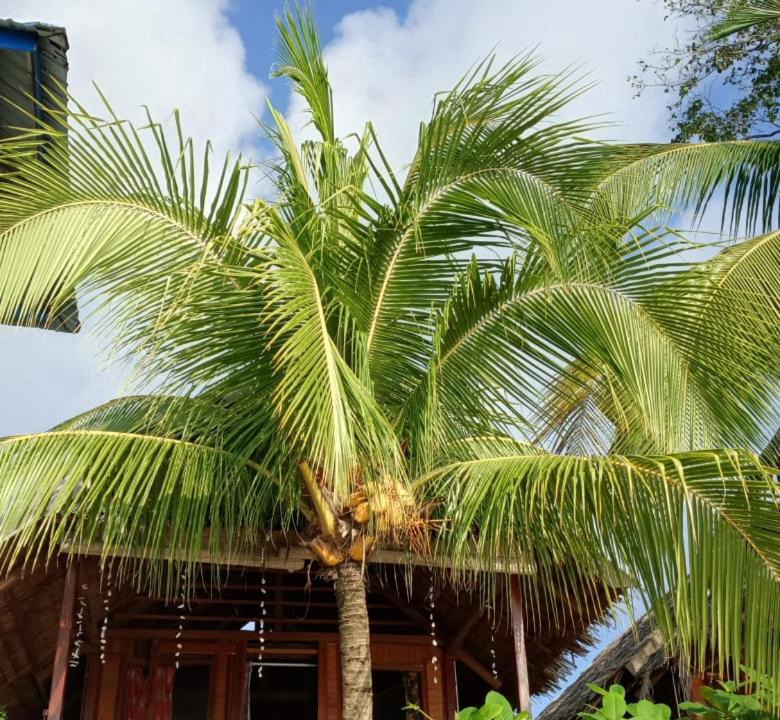 Photo of Others in Mansuar Island