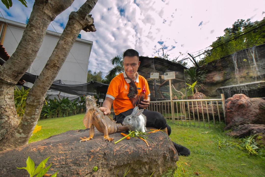 Photo of Others in Senggigi